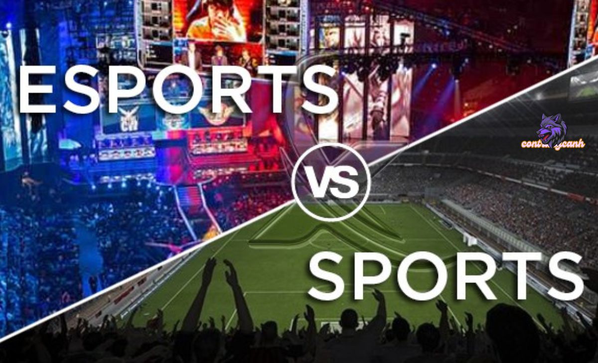 Are Video Games Sports? Understanding the Intersection of Gaming and Sports