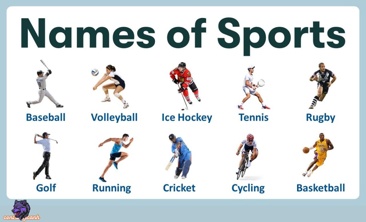 Differentiate Games and Sports: Exploring the Nuances